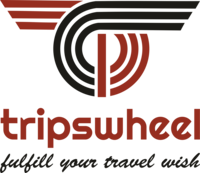 trips-wheel-transparent-logo